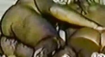 clip sex hoc sinh vn Tomm Gun Gunn sex gai dep cums bạn gái của mình trong âm hộ của cô và kiêm đi ra.